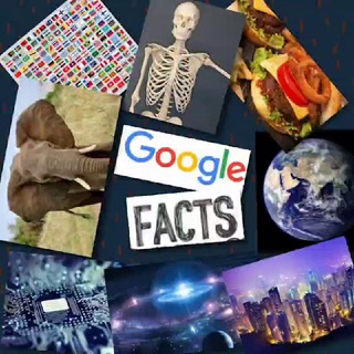 Google_Facts______googlefactss___