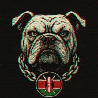 ______________254____