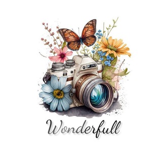 ____________________________